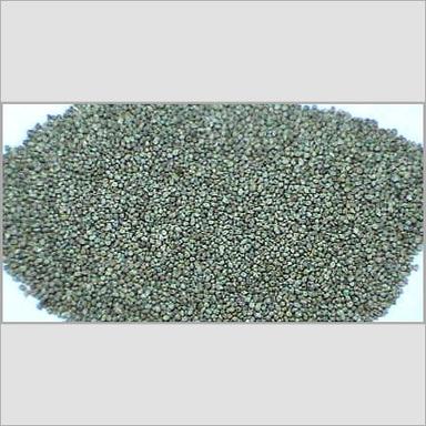 Organic Green Color Nutritious Millet