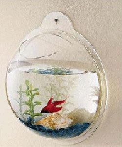 Transparent Mini Wall Acrylic Aquarium