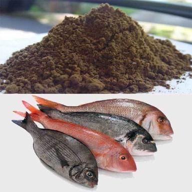 Fish Meal