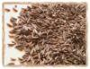 Caraway Seeds