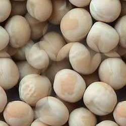 White Peas