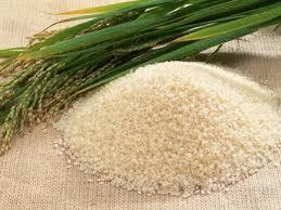  गुणवत्ता वाला बासमती चावल 