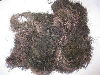 Dried Gracilaria Seaweed