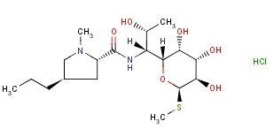 Lincomycin Hydrochlorides