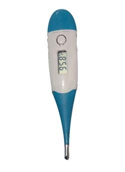 Jsb Digital Flexible Tip Thermometer