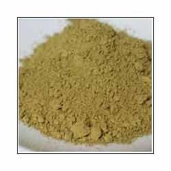 Cassia Tora Powders