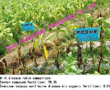 Bio-Organic Fertilizer