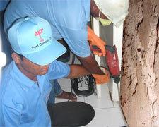 Anti Termite Treatment Service