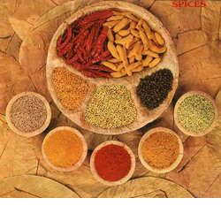 Indian Ground Spices