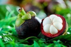 Mangosteen Extract