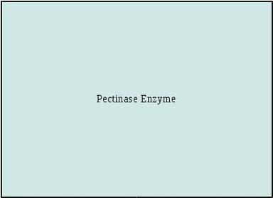 Pectinase Enzyme