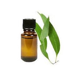 Eucalyptus Oil