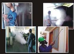 Fumigation Service For Office