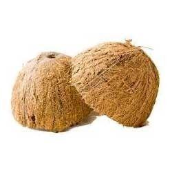 कच्चा नारियल शैल