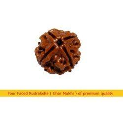 Char Mukhi Rudraksha