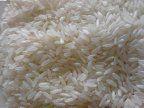  1121 बासमती सेला (हल्का उबला हुआ) चावल