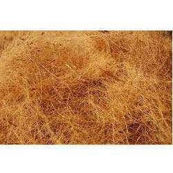 Coir Cut Fiber