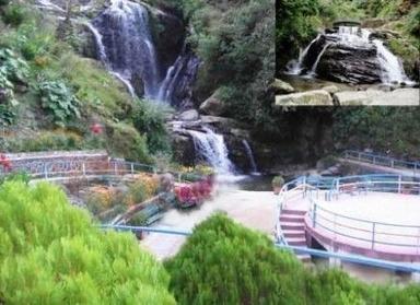 Darjeeling Tour Service