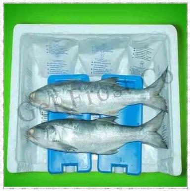 Sea Food Ice Pack