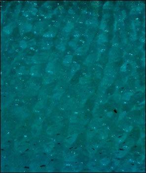 Turquoise Polycarbonate Sheet
