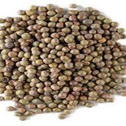 Tur (Pigeon Pea)