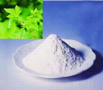 Stevia Plant Extract