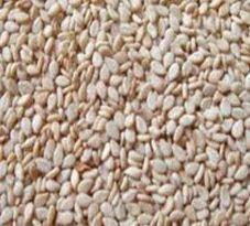 Natural Sesame Seeds