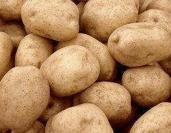 Fresh Potatoes