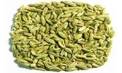 Fennel Seeds