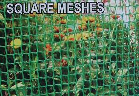 Square Meshes