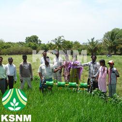 Rice Seed Planter