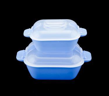 Blue Microwavable Container Set Of 2 (500 Ml+1000 Ml)