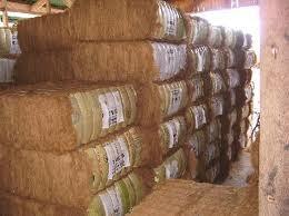 Coconut Husk Fibre