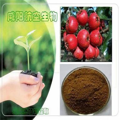 Natural Hawthorn Leaf Extract