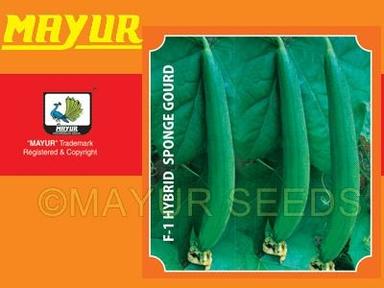 Mayur Hybrid Spongegourd Seeds