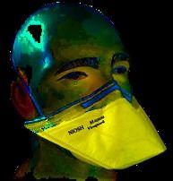 Dustoguard V Flex Mask