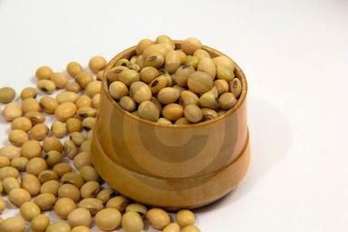 Soyabean Seeds