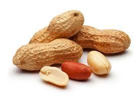 Ground Nut - Pea Nut