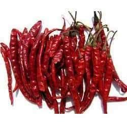 Dry Red Chilli