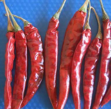 Teja Dry Red Chilli