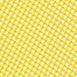 Polished Nylon Mesh Fabrics