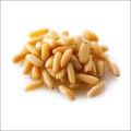 Pine Nut Kernal