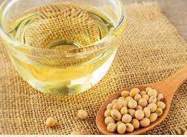 Soya Bean Oil Seeds