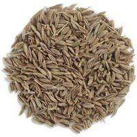 Cumin Seeds