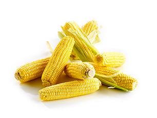 Frozen Corn Cobs
