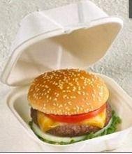 Plastic Burger Box