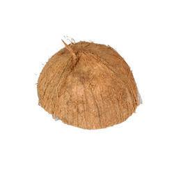 Coconut Shell With Fibre