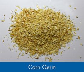 Corn And Maize Germ