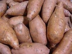 Available In All Colors Fresh Sweet Potato
