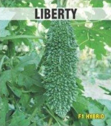 Liberty Bitter Gourd Seeds